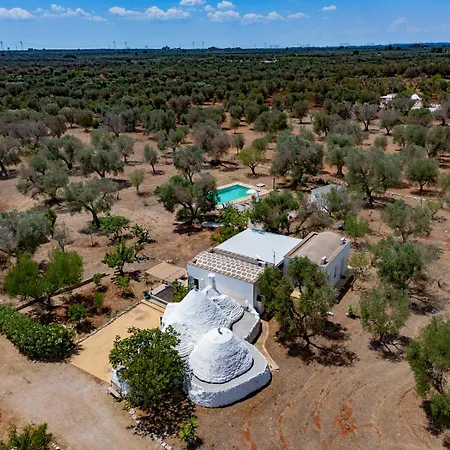 Trullo Nanonormanno Holiday home