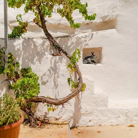 Holiday home Trullo Nanonormanno San Vito dei Normanni